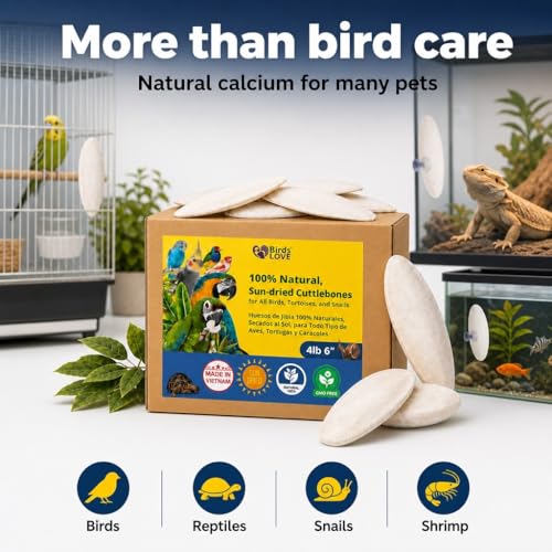 Birds LOVE 5.5-6″ Cuttlebones for Birds – 100% Natural Sun-Dried Calcium Carbonate Mineral Supplement – for Parakeets, Budgies, Cockatiels, Finches & Canaries – 4 lb with Holder – Made in Vietnam - size: 4 Pound (Pack of 1)