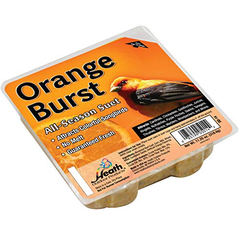 Heath Outdoor Products DD14-10: Orange Burst Suet Cake - Pack of 10