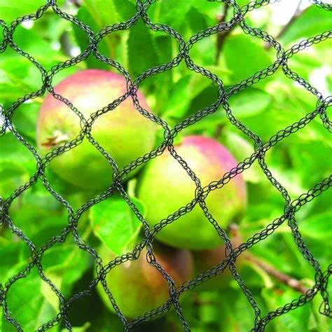 30x30 FT Bird Netting, 1/2" Mesh, Heavy Duty Garden Netting | Strong Woven Netting for Garden Protection, Plants, Fruit Trees, Blueberry Bushes, Vegetables, Chicken Coops & Porches - size: 30x30FT-1/2inch