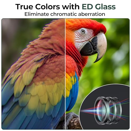Welspo 10x42 Binoculars with ED Glass for Adults | Stable Phone Adapter included, Waterproof, Fogproof, for Bird Watching, Hunting, Hiking and Football Games