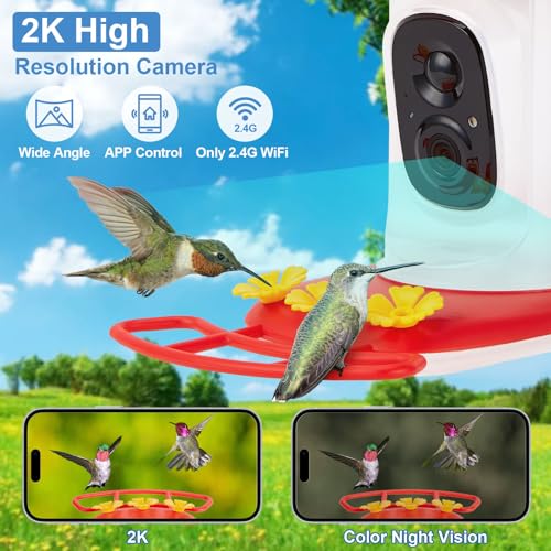 Smart Hummingbird Feeder with 2K HD Camera Auto Capture/Notify, Live View | AI Identify Bird Species, Bird Watching Camera with 3 Feeding Ports for Outdoors Hanging,Instant Notify, Gift for BirdLover