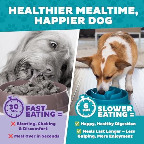 Outward Hound Fun Feeder Slo Bowl – Medium 2‑Cup Capacity,Slow Feeding,Small to Medium Dogs & Cats,Non-Slip,Turquoise,Drop Pattern,(Pack of 12) - color: Turquoise, size: Medium (Pack of 12)