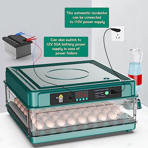 Automatic Egg Incubator, 12 Eggs,for Hatching Chicken Quail Bird Duck Eggs | 12-38 Eggs Capacity, Automatic Turner, Egg Candler, Intelligent Temperature Control - style: 12 EGGS