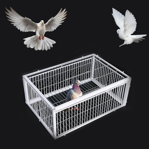 Pigeon Trap Cage with Escape-Proof Design Chicken Trap Bird Cage with One Way Entrance for Sparrows Quails Bird Chick and Duckling (15.75”L x 11.8” W x 10.24” H) - size: 15.75”L x 11.8” W x 10.24” H