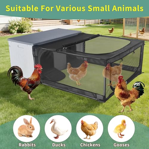 Chicken Coop with Run, Plastic Nesting Boxes for Chickens with Door Or Ramp | 60” Large Chicken Coop, Small Animal Poultry Cage for 4-6 Chickens, Ducks, and Guinea Pigs, Clean and Assemble Easily - color: Grey, size: 60.6"L x 41.0"W x 20.3"H