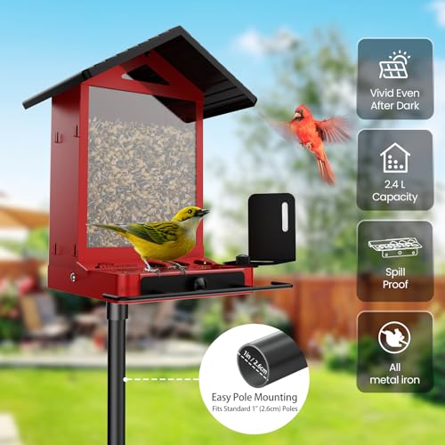 All-Metal Bird Feeder, Wall & Pole Mountable, 2.4L Large Capacity | Chew-Proof & Weather-Resistant Design, Easy to Clean & Fill, Wild Birds Feeder for Backyard & Garden, for Men Women Gift - color: Cranberry（Without Camera）