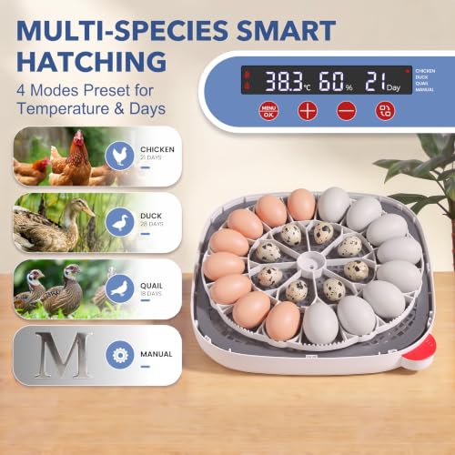 Sailnovo 24 Egg Incubators for Hatching Eggs with 4 Modes, 360° View, Blue | 24-48 Egg Capacity, for Chicken Quail Duck, Automatic Egg Turning, Temperature Control, Humidity Display,Built-in Candler