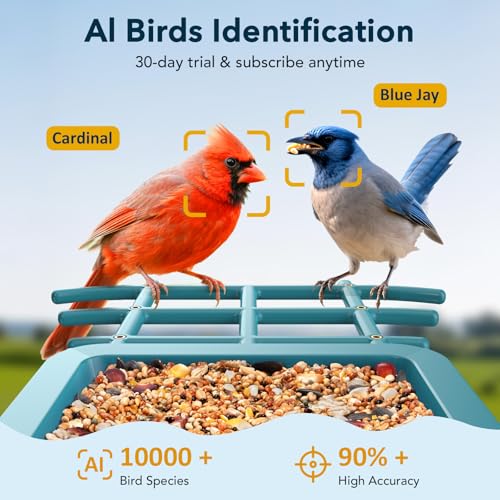 PeckCam® Bird Feeder with Camera Solar Powered 2K Live Video Auto Capture | AI Bird Species Identification, Instant App Alert, IP65 Waterproof, Easy Setup, Backyard Bird-Watching, Gift for Bird Lovers - color: Light Blue