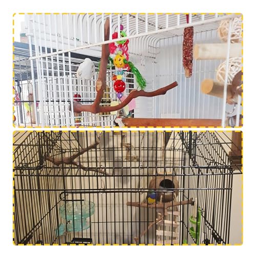 PINVNBY Parrot Perches Natural Birds Stand Wild Grape Stick Grinding Paw Climbing Wood Cage Accessories and Toy for Parakeet, Lovebirds,Budgies,Cockatiels and Finches