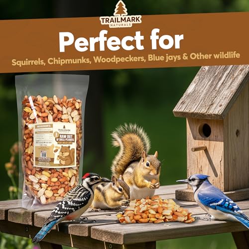 11 LB - Raw Shelled Peanuts for Squirrels, Out of Shell Peanuts for Birds and Wildlife- Squirrel Food, Wild Bird Seed - Grown in The USA