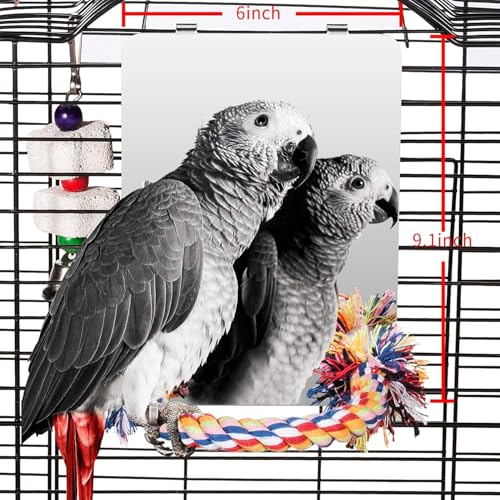 9" Bird Mirror for Cage, Large | Rope Perch, Bird Swing, For Parakeet Budgie African Grey Conure Cockatiel Lovebird Finch Canarie - size: Large