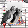9" Bird Mirror for Cage, Large | Rope Perch, Bird Swing, For Parakeet Budgie African Grey Conure Cockatiel Lovebird Finch Canarie - size: Large