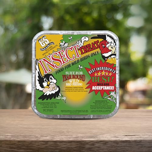 C&S Insect Suet Treat, Suet Cakes for Wild Birds, Pack of 8 | Suet cakes for woodpeckers, made with real insects, use in a suet feeder year-round - style: Insect, 8 Pack