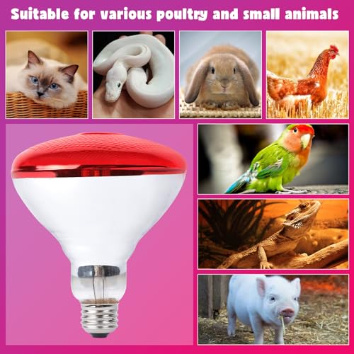 LUCKY HERP Infrared Heat Lamp for Chickens - 250 Watts Red Heat Lamp Bulb 1 Pack, Heat Light Bulb for Brooder Coop, Food Service, Chicks, Pet, Reptile - style: 250 Watts 1 PACK