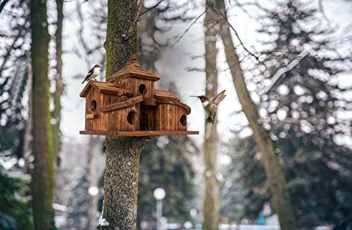 COLEBA Bird Houses for Outside,Outdoor 5 Hole Bird House Room for 5 Bird Families Bluebird Finch Cardinals Hanging Birdhouse for Garden