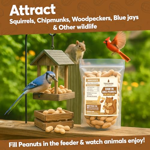 2 Pack of 5 Lb Bags (10 Pounds Total) - Raw Peanuts for Squirrels, Raw in Shell Peanuts for Birds and Wildlife- Squirrel Food, Wild Bird Seed - Grown in The USA