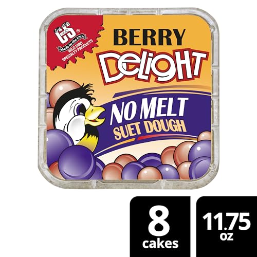 C&S Berry Delight No Melt Suet Dough, Suet Cakes for Wild Birds Including Robins, Blue Jays, Bluebirds, Tanagers, Thrushes and More, 11.75 Ounces, Pack of 8 - size: 1.47 Ounce (Pack of 8), style: Berry, 8 Pack