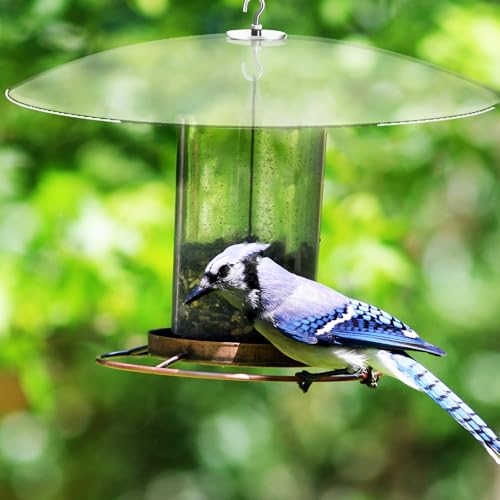 GANAZONO Plastic Bird Feeder Rain Cover Squirrel Baffle for Bird Houses or Hanging Humming Feeder Station Pole | Squirrel Baffle for Bird Houses or Hanging Humming Feeder Station Pole