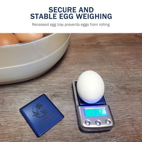 Digital Scale with Blue Backlit LCD Display - Accurate Humidity Measurement
