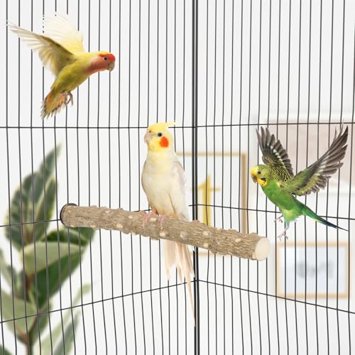 Hypeety Natural Prickly Ash Wood Bird Perch Stand Paw Grinding Perch Toy | Natural prickly ash wood, bark texture for grip, chew-proof and durable, for budgie/parakeet/cockatiel/lovebird, 11.79''/30cm - size: 11.79 inch