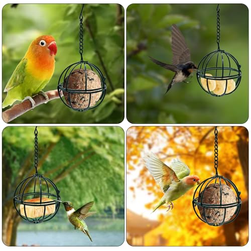 4 Pcs Balls Suet Feeders Metal Hanging Birds Feeder with Hooks for Outside Hanging Fat Ball Bird Feeders Outdoor Garden Wild Birds