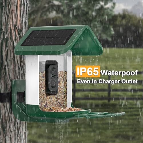 Bird Feeder with Camera Solar Powered : Smart Camera Bird Feeder 2K Live Feed Cam for Outdoor Backyard - Ai Identify Auto Capture Videos Pictures, Gifts for Birdlover Mom Dad, 2.4GHz WiFi - color: White Green
