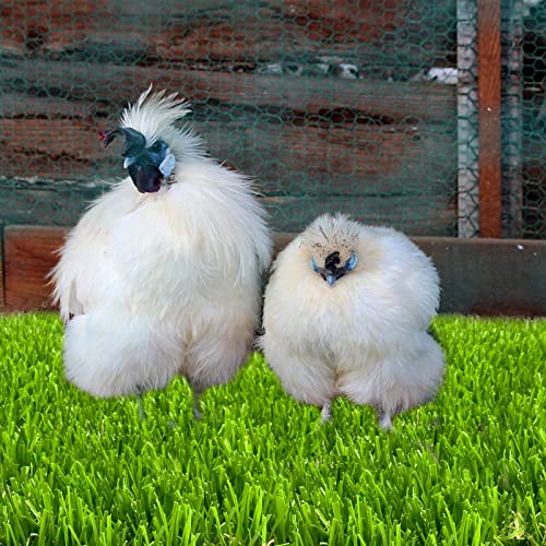 6 Pack Washable Chicken Nesting Box Pads for Laying Eggs, Artificial Grass Nesting Pads for Chicken Coop, Nesting Box Liners Bedding for Hen Lawn Indoor Outdoor - 12"x12"1.2"