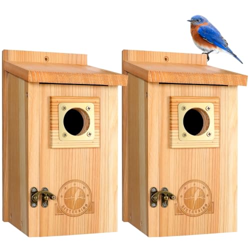 SISTERBIRD 2 Pack Bird Houses for Outside Clearance with Copper Guard, Cedar Bird House Outdoor, Bluebird Finch Swallow Wren Chickadee Assembly Required - color: Burly Wood & Copper-colored --2PK