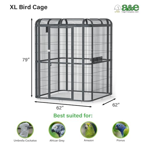 A&E Cage Co WI6262 Walk-in Bird Aviary for Parrots, 62"x62"x79" Black | Key-Lock 69"x25" Door, 3 Swing-Out Feeder Stations, Stainless Steel Bowls, Fits African Greys, Amazons & Cockatoos - size: 62.0"L x 62.0"W x 79.0"H