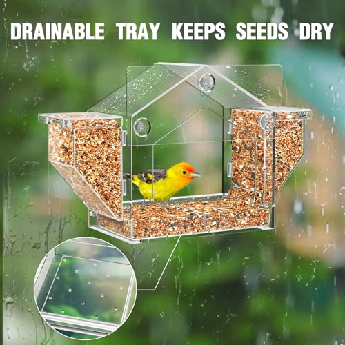 Window Bird Feeder with Dual Side Storage, Strong Suction Cups and Adhesive | High Capacity Outside Birdfeeder for Window, Close-up Viewing for Indoor Cats & Seniors, Ideal Nature Gift