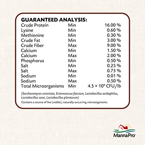 Manna Pro All Flock Crumbles with Probiotics, Chicken & Duck Food, 8 lb Bag | Complete Feed for Mixed Flocks, 16% Protein, Chicken & Duck Feed, Added Probiotics for Digestion, Easy-to-Eat Crumbles - size: 8 Pound (Pack of 1)