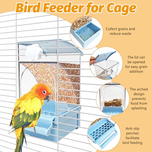 BNOSDM No Mess Bird Feeder Transparent Automatic Bird Cage Feeder with Perch Acrylic Parrot Food Container Parakeet Cage Accessories for Parakeets, Budgies, Cockatiel, Finch, Canary, Lovebird (Blue) - color: Blue