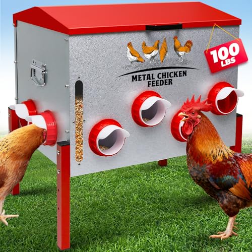 Automatic Chicken Feeder 100LBS Large Capacity, 12 Anti-Waste Ports Metal Poultry Feeder with Height Adjustable Stand, Waterproof Rodent Proof Feed Box with Lid Viewing Window for Hens Ducks Geese - size: 100LBS