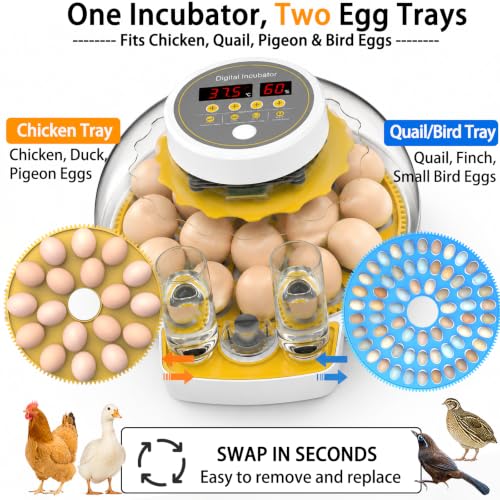 18/60 Incubator for Hatching Eggs, Egg Incubators with Humidity Display, Egg Candler, Automatic Egg Turner, Poultry Egg Incubator for Hatching Chicken Duck Bird Quails- Yellow 2 Egg Trays - color: Yellow