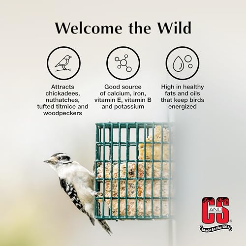 C&S Sunflower Suet Treat, Suet Cakes for Wild Birds, Pack of 8 | Suet cakes for woodpeckers, made with sunflower, use in a suet feeder year-round - style: Sunflower, 8 Pack