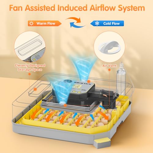 IBKINXX Incubator for Hatching Eggs-48 Egg Capacity, 2026 Newly Upraded Auto Egg Turner & Auto Precision Humidity Control System, 360° Clear Viewing for Chicken, Duck and Quail Eggs (Yellow) | Automatic Temp & Humidity Control, Auto Egg Turning & Built-in