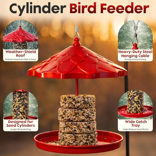 Cylinder Bird Feeder for Outdoors - Hanging Metal Bird Seed Holder | Rust Resistant Metal, Holds Bird Seed Cylinders, Logs & Cakes Up to 6 Inches, 360° Feeding, Easy to Clean