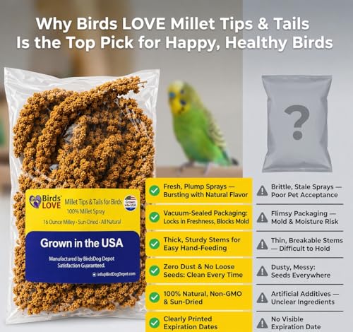 Birds LOVE® Millet Tips & Tails for Birds – Premium Spray Millet Treat, Grown in the USA – Natural & Healthy Bird Food for Parakeets, Cockatiels, Budgies, Lovebirds, Finches, Canaries & Parrots – 1 lb