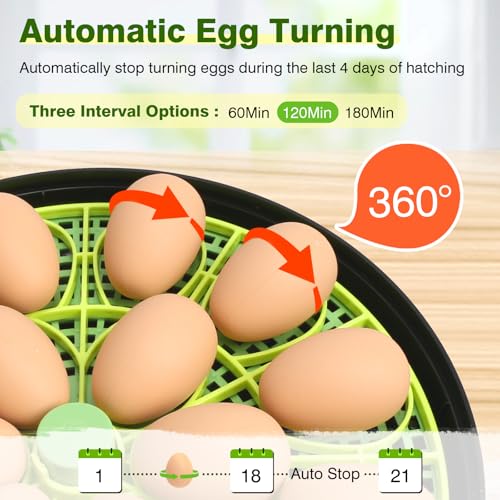 18 Chicken Egg Incubator with Temperature Control Auto Egg Turner | Humidity Display, Egg Candler, 2 Size Egg Trays, Chick Incubaotrs for Hatching Eggs Digital Incubator for Chicken, Duck Eggs - style: 18 Eggs
