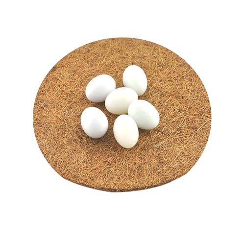 10Pcs Pigeon Nest Pads | Racing Pigeon Loft Supplies,Coconut Fiber Bird Breeding Egg Nests Bowls Mat for Finch Chicken Homer