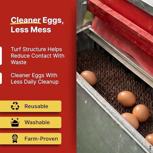 HenGear Nesting Pads, Astroturf NXT v5.2, Washable and Reusable, Small | Nesting Pads for Chicken Coop, Durable AstroTurf Nest Pad Material for Clean Egg Collection, Comfortable Laying Surface - size: Small