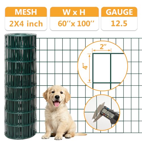 Green Metal Garden Fence,60inch(H) x 100ft(L),2 inch x 4 inch,12.5GA Coated (14GA Bare) 2/3/4/5/6 Ft Tall Chicken Wire PVC Coated Welded Wire Mesh Roll for Dogs Border Yard Vegetable Plant Poultry - color: Green, size: 12.5GA 2x4 60"x100'