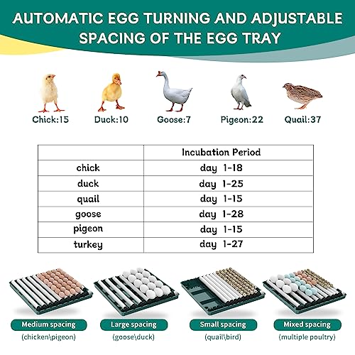 Intelligent Poultry Incubator - 38 Eggs, Automatic Turner & Temperature Control for Hatching Chicken, Quail, Bird & Duck Eggs - style: 38 EGGS