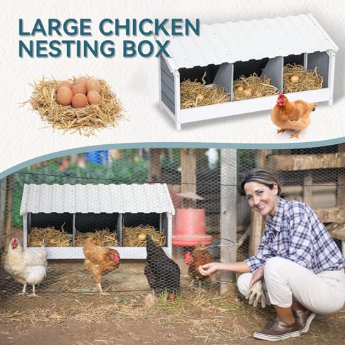 PETSFIT 3 Holes Chicken Nesting Box, PVC Waterproof Roof, Privacy Cover | Wall Mounted or Floor Use, Natural Fir Wood, Easy to Assemble and Clean, For Backyard Coops and Farms, Fits Standard Hens - size: 3 Holes