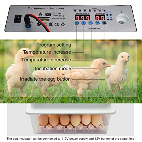 Incubators for Hatching Eggs, Egg Incubator with Automatic Egg Turning and Humidity Control, Egg Incubator for Chicken Quail Duck Pigeon Eggs(36 Eggs)
