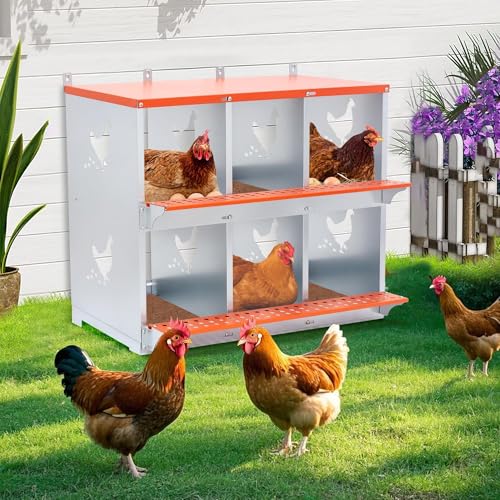 6 Bay Orange Metal Nesting Box, Wall Mount Chicken Nest for Hens & Ducks, Heavy Duty Galvanized Steel with Hen-Shaped Vents & Coconut Fiber Pad, Easy Assembly (Orange/Silver) - size: 31.8” L x 17” W x 25” H
