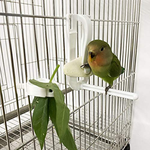 Bird Treat Holder Small Animal Fruit Vegetable Feeder Clips Food Cuttlebone Easy to Install Keeping Hands