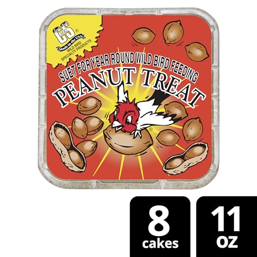 C&S Peanut Suet Treat, Suet Cakes for Wild Birds, Pack of 8 | Suet cakes for woodpeckers, made with real peanuts, use in a suet feeder year-round - style: Peanut, 8 Pack