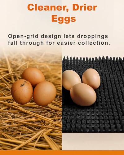 4-Pack Washable Chicken Nesting Pads for Chicken Coop, 13x11in Reusable Nest Box Liners, Trim-to-Fit Open-Grid Bedding for Cleaner Eggs, Heavy-Duty Poultry Supplies (Green) - color: Green, size: 4-Pack