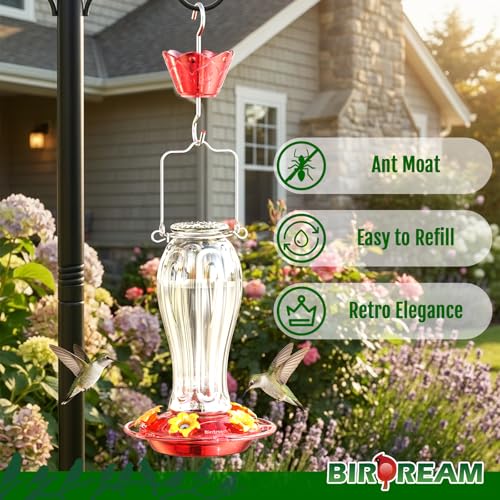 Birdream Glass Hummingbird Feeders, 18oz Large Capacity, Clear | 5 Feeding Ports, Built-in Ant Moat, For Outdoors Hanging, Decorative for Garden Patio Backyard - color: Clear